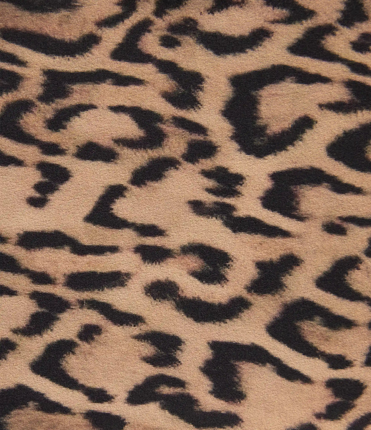 Halara UltraSculpt™ Leopard Print High Waisted Tummy Control Side Stripes Yoga Straight Leg Pants with Pockets