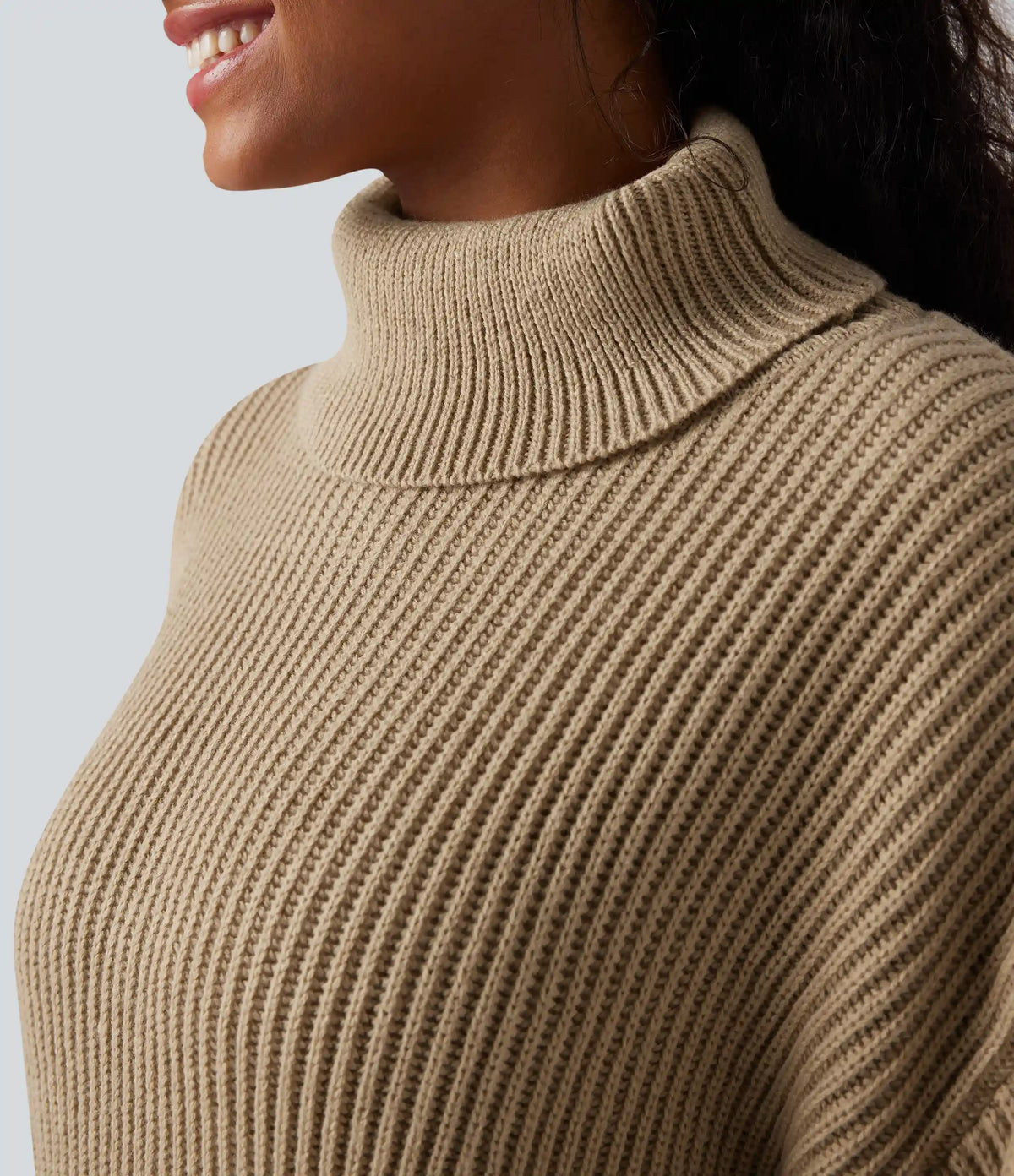 High Neck Long Sleeve Mini Work Sweater Dress